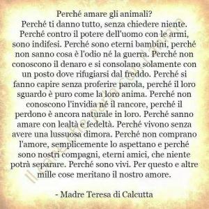 PERCHE' AMARE GLI ANIMALI