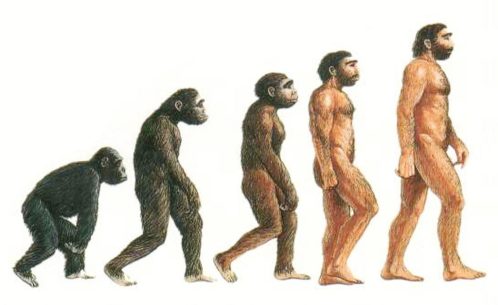 INTELLIGENZA DELLE SPECIE