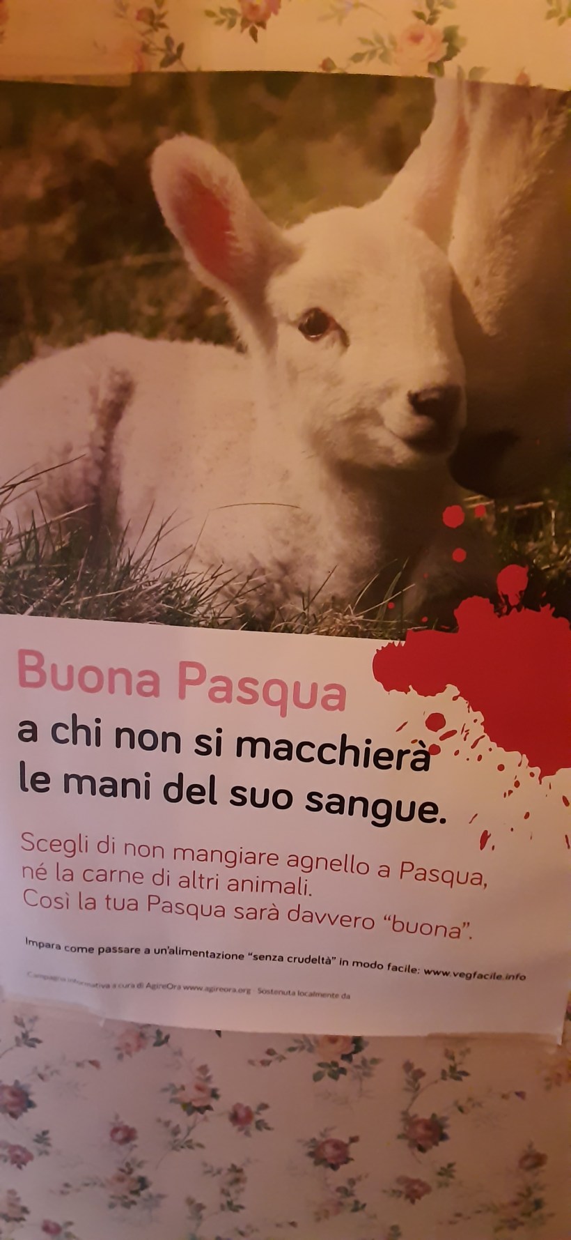 AGNELLO PASQUA